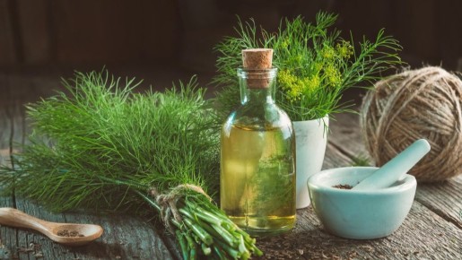 �������: ������� ������ ��������, ������� ����� �����������