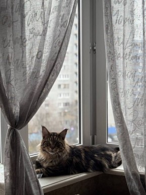 ������� ��������: ������� ��������� ������ �� ˸�� � �������