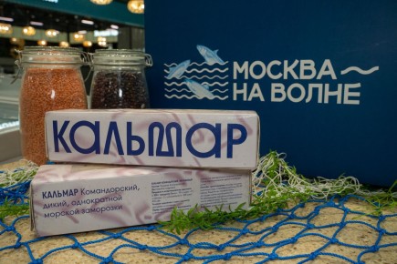 ������ �� ��������: ���� �������� ���� �� ������ ������ ������