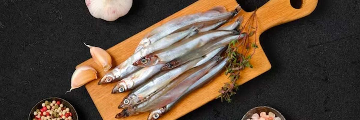Сравнение мойвы и кильки: что выбрать для гастрономического удовольствия?