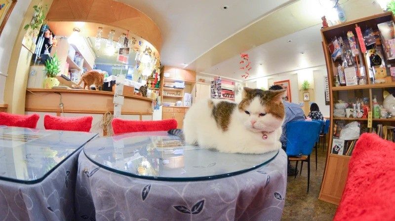 ��������: ��� ������ ��������� ������ ��������� �������� �� ����� ����