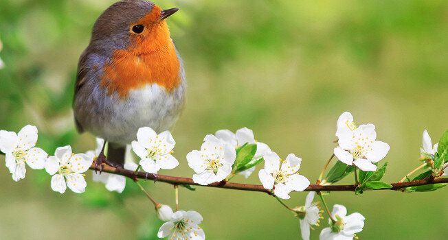 Сезонная кухня: лучшие продукты мая для новых блюд