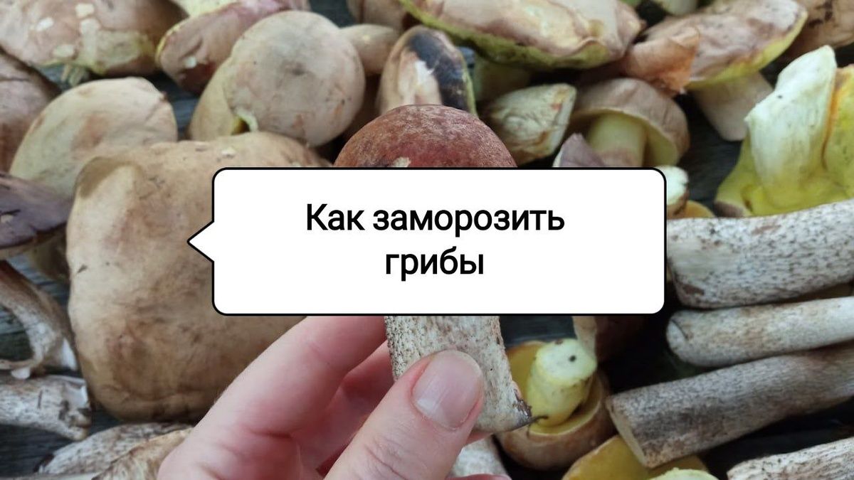 ��� ���������� ����� �� ���� � ��������� �� ����