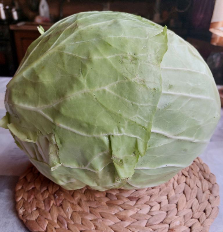 Капуста в нашем рационе: полезно и экономно