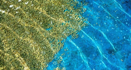 �������� ��������� ������: ��� ����� ���������� ������� ��������