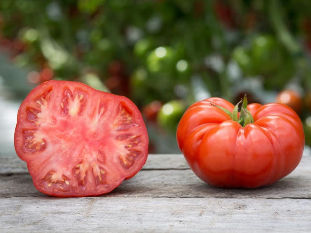 Томаты, которые разочаровывают: какие сорта не оправдывают ожиданий