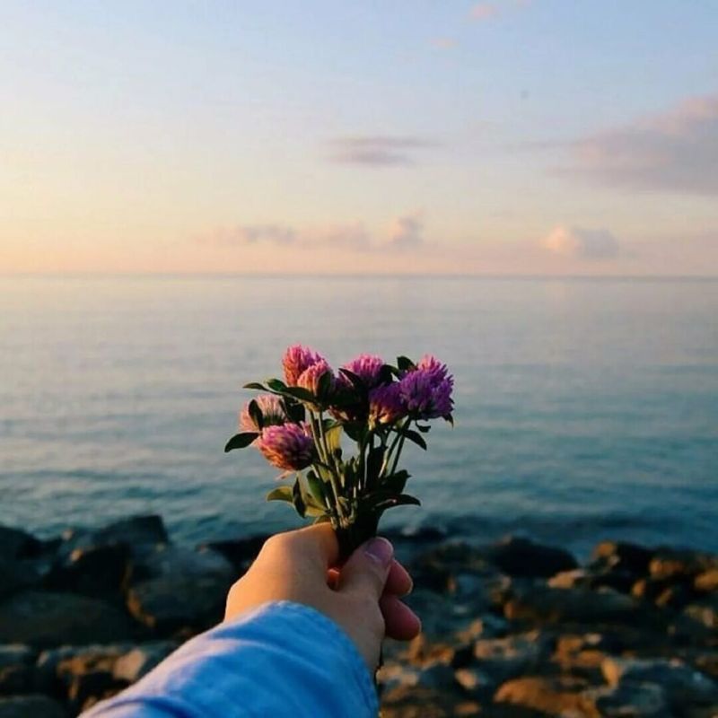 Мудрость и женственность: как быть по-настоящему мудрой женщиной в современном мире