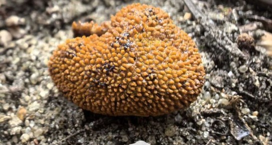 ������������ ��������: ����� ���� ����� ��������� ����� � ����������� ����