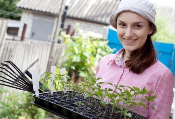 Как сделать натуральные стимуляторы роста для семян