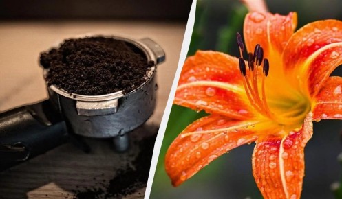 �������� ����: ������������� ��������� ��� ������ � ������