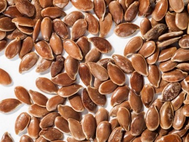 ��� ����������� ����� �������� ��������� ������� ��������