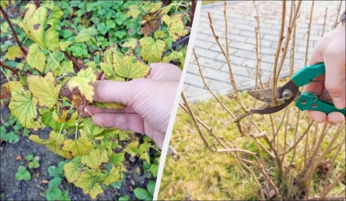 ����� � ��� �������� ��������� ����� �����?