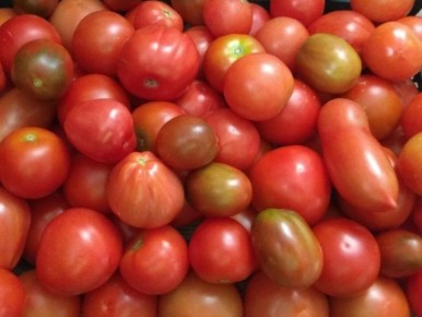 ��� ������ � ������ ����������� ���������� ������, ������� ������� ��� ����