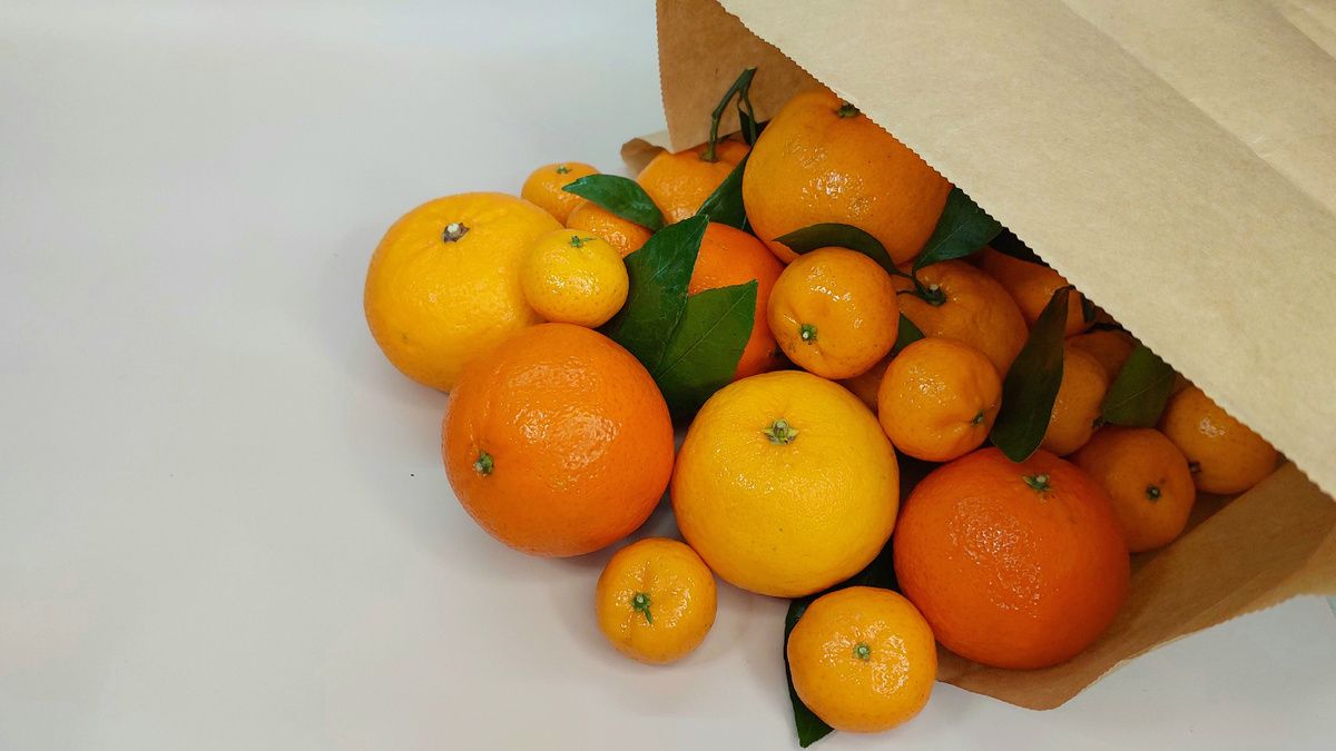 ��� ������� ����� ������ ��������� ���� �����