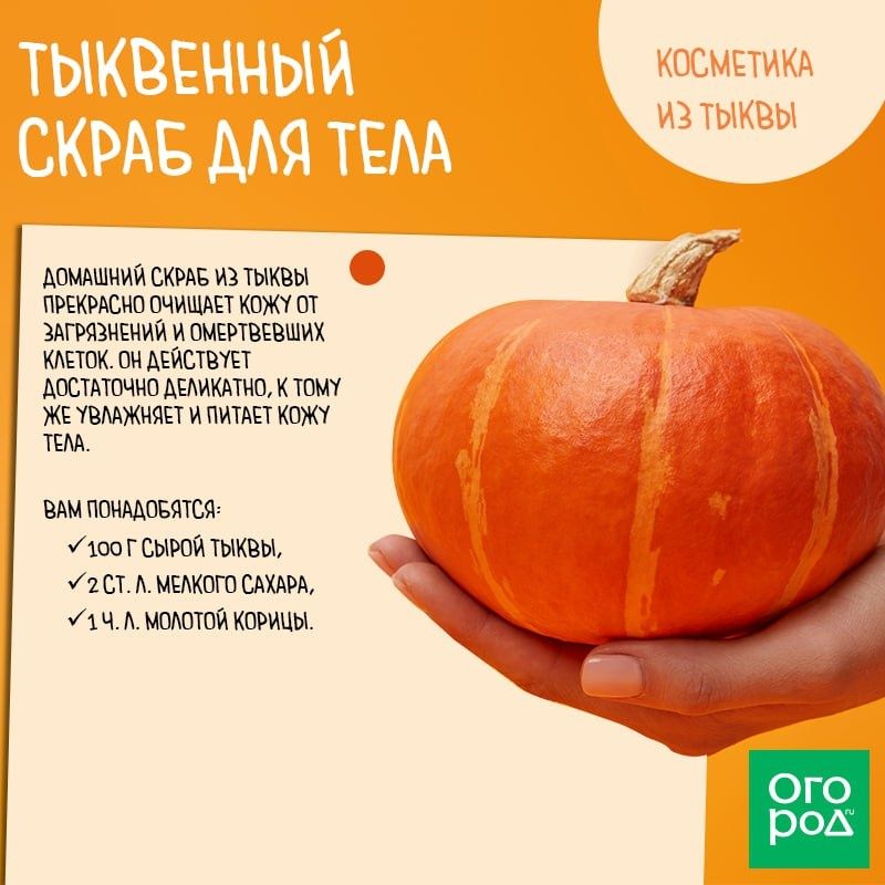 Погружение в мир удивительных ароматов