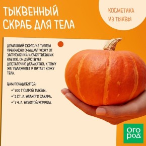 Погружение в мир удивительных ароматов