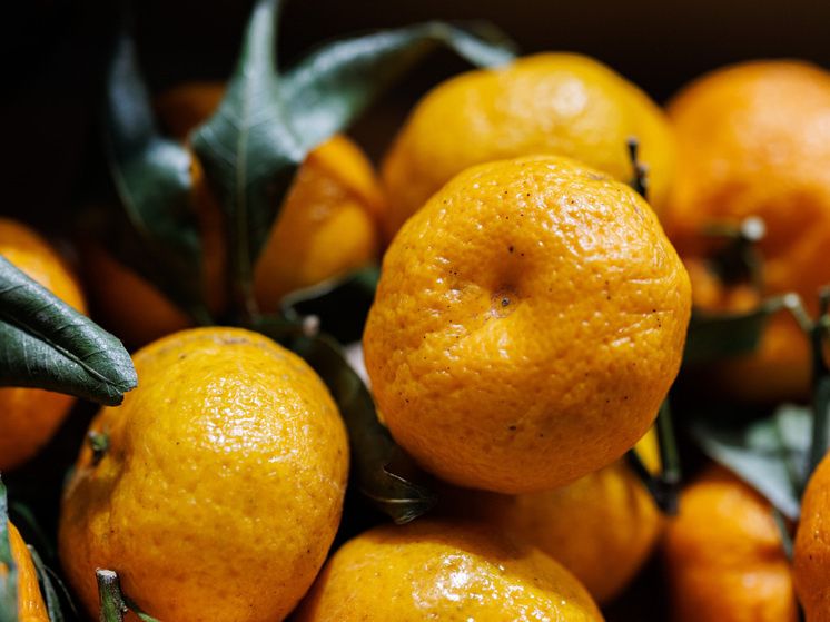 ����� ����������: ��� ������� ������ �� ����������� �������