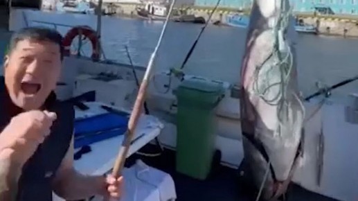 На Курилах поймали тунца-гиганта: стоимость улова превышает 160 миллионов рублей