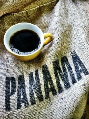 Кофейные сокровища Панамы: почему арабика здесь особенно уникальна