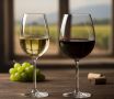 Как выбрать вино: белое или красное для вашего стола?