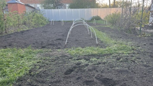 Необычный способ посадки кабачков в ноябре: как получить урожай на полтора месяца раньше