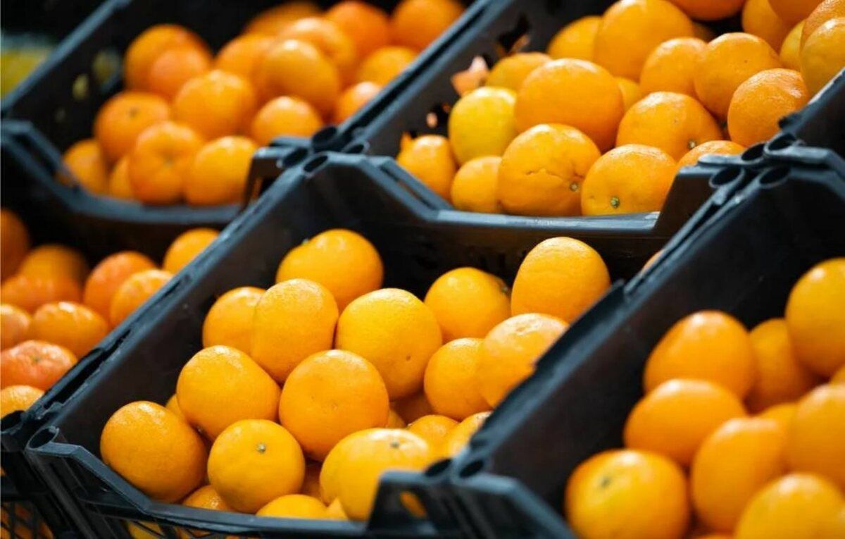 ������ ��������� ������� ���������� �� ������ �� ���������� ��������