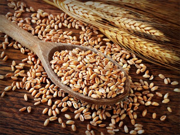 �����: ���������� ���� � ������ ��������