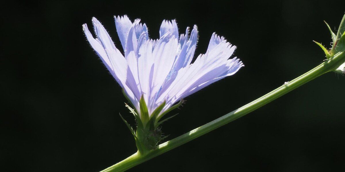 �������: ��������� ������� ������������ � ��� ������������ ������ ��� ��������