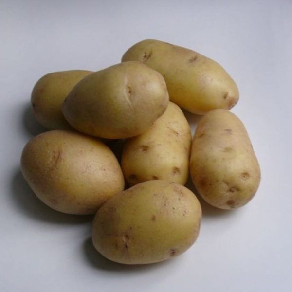 ��������� �������: ������ ����, ������� �������� ������ � ���������