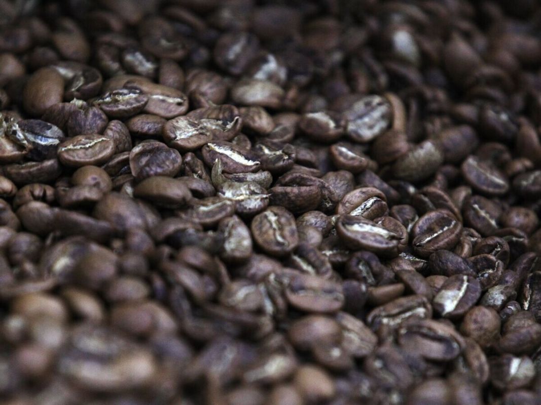 ������� ������� ���� ����� ���������� � ������ 2026 ����