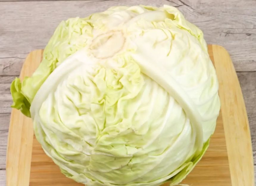 ����� ����� �������� �������: �� ��������� ������ � ��������� ��������