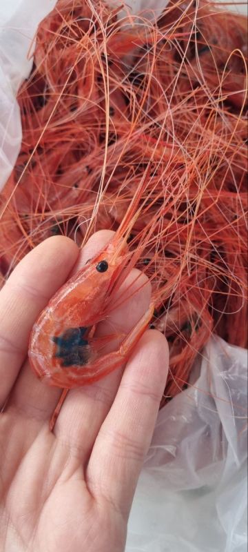 ����� ���������: �������� ������� ��������