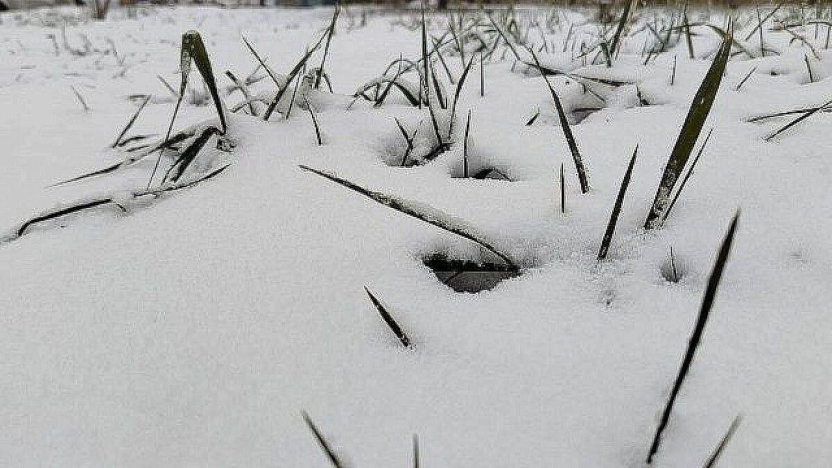 �������� � ����� �����: ���������� ��������� �����������, ��������� ������� ��-�� ������