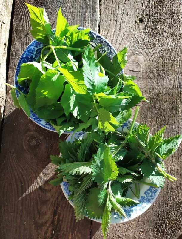 ��������� �� � ������ � �������� �� ������ ����