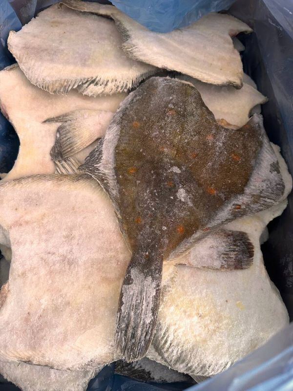 ������������ �������: ���������, ������� ����� �����������