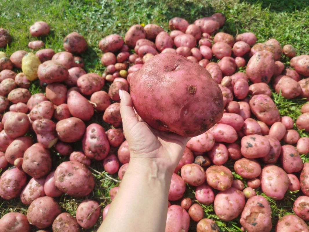 �������� ������: �������� ��� ������ ������������ �����