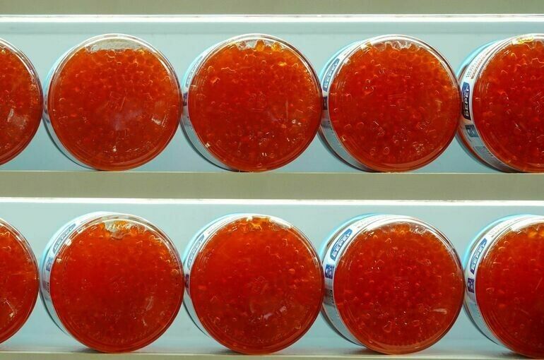 ��� �������� �������� ������� ���� �� ��������: ������ ��������