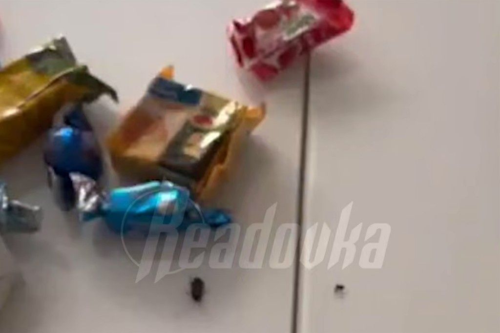 � ������� ����� ������� ������� �������� � ������������ ��������