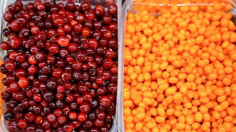 �������� � �������: ����� �������� ����� ������� ���� ����?