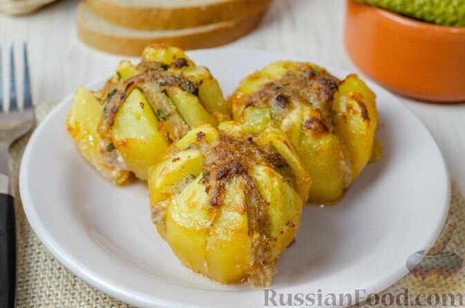 ������������ ������� ��������: ������� ����� �������