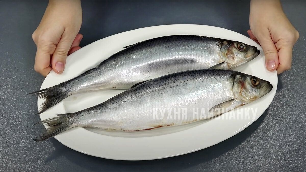 ��� ������ � ������ �������� ������� � �������� ��������