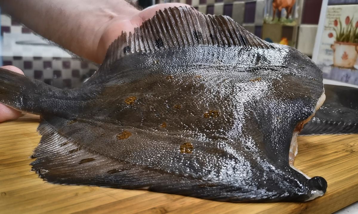 ����� ������������� �������: ��� ������� �������� �������� ������ ��������