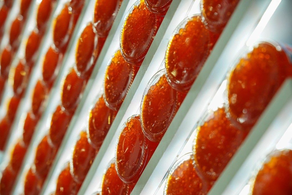 ������ � �����: �������� ������� � ���������� ������ ����