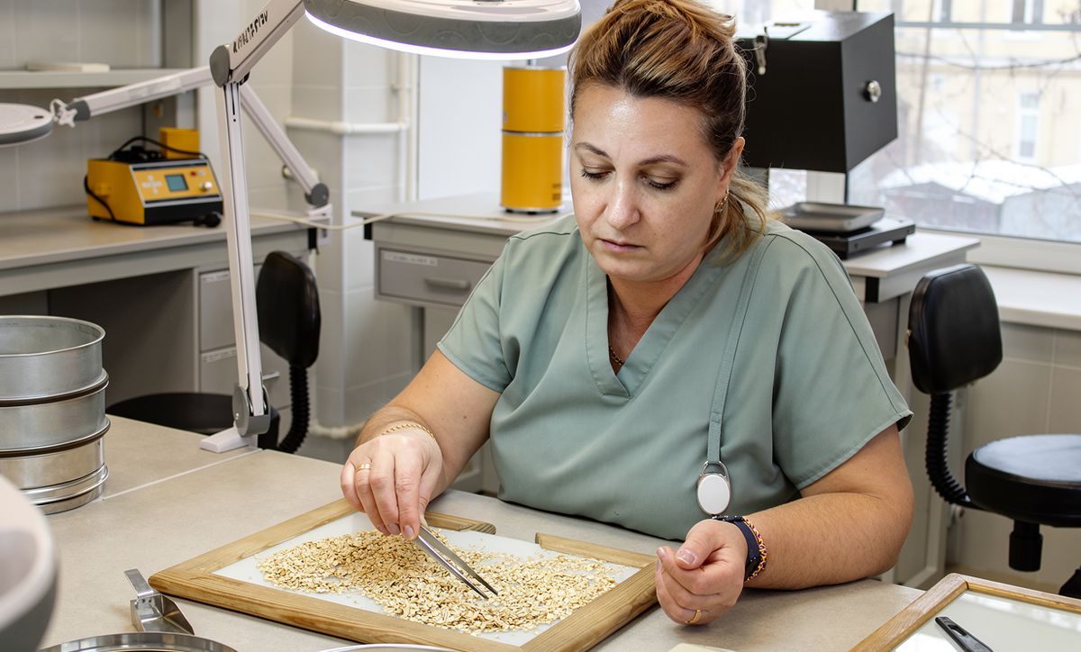 ��� ��������� ������� ����� � ������: ������ ���������