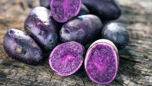 ����������� ����� � ���������