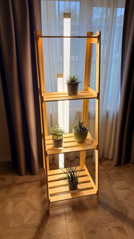 ��� �������� ������ ���� �������� ������������