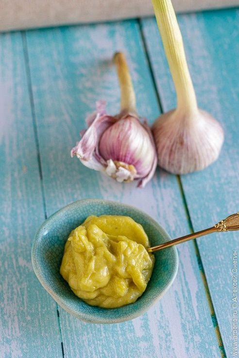 ������� ���������� �����: �� �������� �� ����� �����