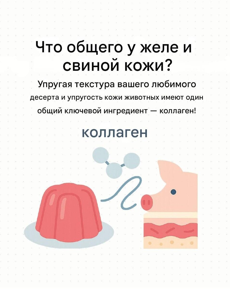 Кулинарная алхимия: желе и свиная кожа в одном контексте