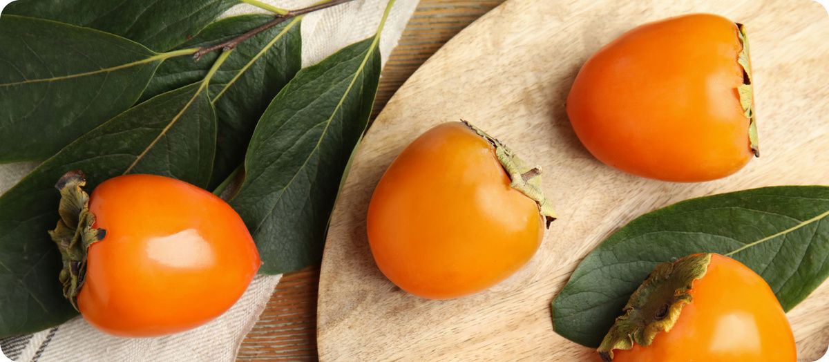 �����: ��������� ��������, � ������� ����� �����