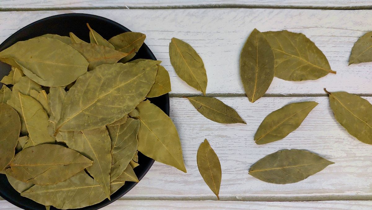 �������� ����: ������� ���������� ������������� �� ����� �����